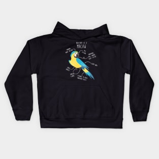 Blue and Gold Macaw Parrot Anatomy Kids Hoodie